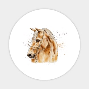 Horse.horse lover Magnet